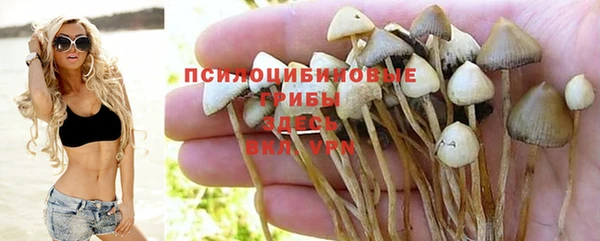 марихуана Медногорск